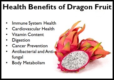dragon fruit