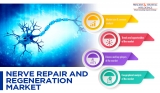 Nerve Repair and Regeneration Device Demand Driven by Rising Cases of Neurological Diseases