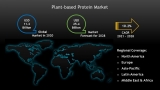 Opportunities in the Global Plant Based Protein Market