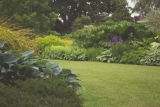 How to Control Weeds in the Lawn and Garden